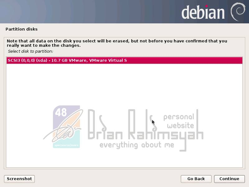 Debian 7 partition disk